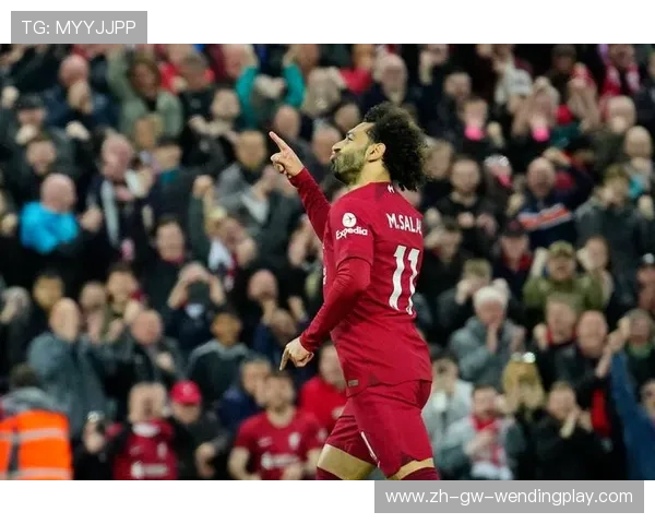 法国籍英超球员实力及影响力介绍